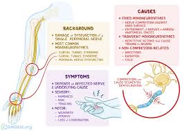 Image result for Peripheral Neuropathy