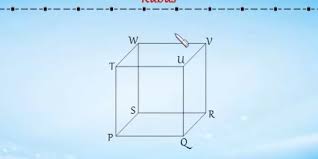 Kumpulan gambar tentang ruas garis bangun datar, klik untuk melihat koleksi gambar lain di kibrispdr.org. Dimensi Tiga Menentukan Jarak Titik Dengan Titik Halaman All Kompas Com