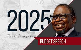 2025 Budget speech reactions
