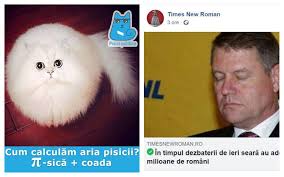 Președinte în partidul social democrat. Cele Mai Bune Glume Despre Dezbaterile Lui Iohannis È™i DÄƒncilÄƒ