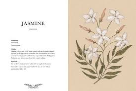 Language of flowers book summary. Floriography An Illustrated Guide To The Victorian Language Of Flowers By Jessica Roux Hardcover Barnes Noble