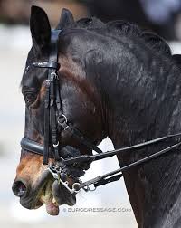Sticking the tongue out is an evasion that comes from nerves, so most horses with this problem have other problems, too. From The Horse S Mouth Actually The Horse S Tongue