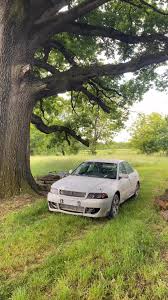 Image result for Citrus Yellow 2004 A4