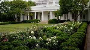 A place to post urban and environmental planning and geography memes, jokes and shitposts. Fact Check Rose Garden Redo Didn T Pull Cherry Trees Historic Roses