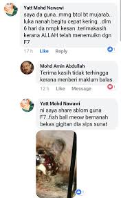 Sebelum bacaterus membahas cara menghilangkan bengkak akibat ulat bulu, kenali lah terlebih dahulu beberapa jenis ulat bulu yang bisa anda temukan di indonesia. Kudis Infeksi Operation Yang Bernanah Sembuh Psherbs