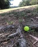 Image result