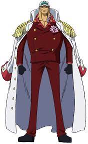 Akainu Villains Wiki Fandom One Piece Luffy One Piece Villain