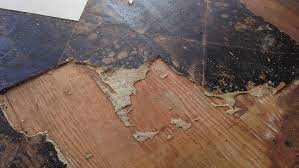 Its a pig of a job and i am doing about a sq.m every hr. How To Remove Vinyl Flooring Lino Removal Diy Doctor