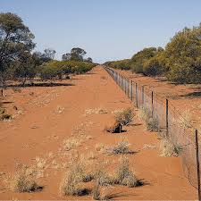 The Rabbit Proof Fence | Roy Griffiths