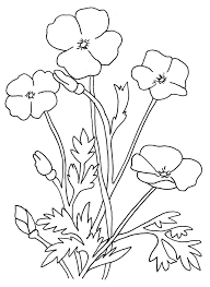 Blank Poppy Flowers Coloring Sheets Decoloring Az Coloring Pages Poppy Coloring Page Poppy Flower Drawing Flower Drawing