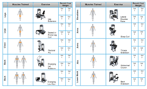 Pyramid Strength Training Workout Coaching Center Precor