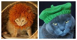 It's perfect for last minute gifts. Cute Cat Hat Free Knitting Pattern