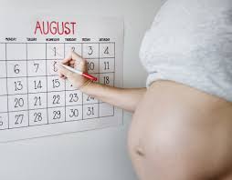 Pregnancy Due Date Calculator Pregnancy Kidspot