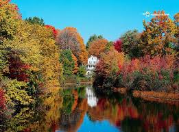 Epingle Par Eva Louve Sur Automne Paysage Automnal Fond Ecran Gratuit Paysage Paysage Automne