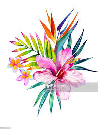 Central Tropical Composition Hibiscus Plumeria Palm Bird Of En 2020 Dessin Bouquet De Fleurs Fleur Tropicale Tatouages Fleurs Tropicales