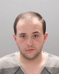 DANIELLE NICOLE KIPP (33)