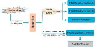 Image result for Ifosfamide