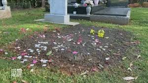 • flower export company de gooijer international. V6njyeclgnp Vm