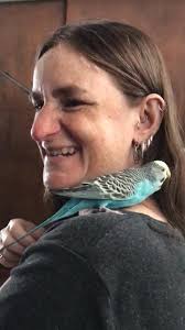 I had a sweet moment with my budgie she was sitting