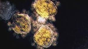The lambda variant, first identified. Alpha Delta Lambda What You Need To Know About The Different Covid 19 Strains 10tv Com