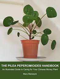 Maybe you would like to learn more about one of these? The Pilea Peperomioides Handbook An Illustrated Guide To Caring For Your Chinese Money Plant Kindle Edition By Stanwyck Mary Crafts Hobbies Home Kindle Ebooks Amazon Com