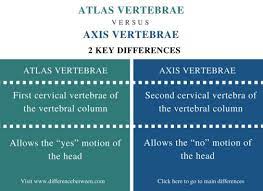 This is an online quiz called atlas vs. Difference Between Atlas And Axis Vertebrae Compare The Difference Between Similar Terms