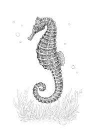 We did not find results for: Como Dibujar Un Caballito De Mar Con Forros De Tinta Negra Y Gris Diseno E Ilustracion Desarrollo De Sitios Web Juegos De Ordenador Y Aplicaciones Moviles