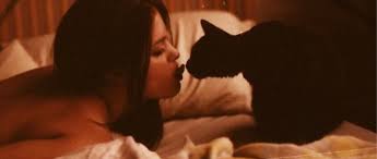 Behind the lens - Melbourne Royalty