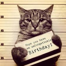 Cat Birthday Memes In 2020 Happy Birthday Cat Cat Birthday Memes Funny Birthday Meme