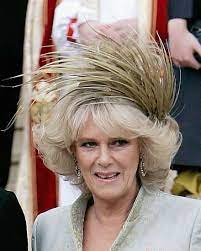 503 Service Unavailable Wedding Hats Camilla Kate Middleton Wedding Dress