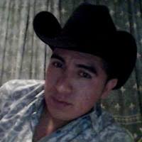 PDF) EDUCACIÓN BÁSICA