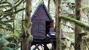 Washington Man Charged In Case Involving Gingerbread House Full Of Child  Porn | WAMU