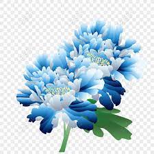 Gunakan bunga biru png gratis ini untuk desain web, desain dtp, selebaran, proposal, proyek sekolah, poster, dan lainnya. Percuma Tangan Dicat Bunga Bunga Klasik Peony Biru Bunga Png Psd Gambar Muat Turun Saiz Imej2000 2000px Id832467931 Lovepik