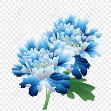 Lambang bunga seruni gambar bunga bunga nusantara bunga api bunga raya bunga ayu seaside resort bunga nasional indonesia. Percuma Tangan Dicat Bunga Bunga Klasik Peony Biru Bunga Png Psd Gambar Muat Turun Saiz Imej2000 2000px Id832467931 Lovepik