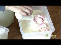 Silica gel for preserving wedding bouquets. Preserving The Bouquet Youtube