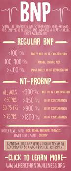 Cardiac Lab Interpretation Troponin Ck Ck Mb And Bnp Health And Willness