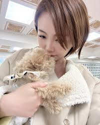 Teddy Chang 張泰迪🐻比熊泰迪(@ted_poochon0805) • Instagram photos and videos