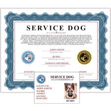 Service Dog Documentation Kit Service Animal Papers Service Dogs Service Animal Emotional Support Animal Registration