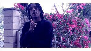 Free $uicideboy$ x chris travis x xavier wulf type beat. Chris Travis Red Roses Music Video Youtube