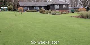 Get quotes & book instantly. Lawn Aeration Advice Lawntech
