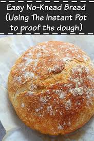 Dutch Oven Bread Proofing Dough In The Instant Pot Recipe In 2020 Dutch Oven Bread Recipes No Knead Bread
