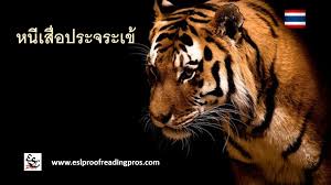 thai proverb forest hills tiger proverbs