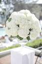 Wedding Flower Favorite: Hydrangeas - Blooms By The Box