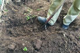 I am filling the bed completely with new. Preparing A New Garden Bed With Double Digging