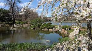 Japanese Garden Chicago Park District