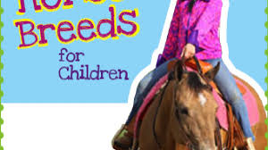 It's thought they were a mix of andalusian, barb, and arabian breeds, but today's paint horses are a mix of spotted horses with the american quarter horse and thoroughbred lines. Best Horse Breeds For Kids Horse Illustrated