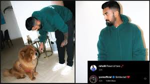 احم احم لما قلت راب على باري تيوب انا كنت مجهزه ام السبات بس تذكرت اصبر على عقل اخوك. Kl Rahul Dog In Pics Meet Kl Rahul S Gorgeous Girlfriend Elixir Nahar à¤…à¤«à¤— à¤¨ à¤¸ à¤¤ à¤¨ à¤® à¤• à¤° à¤¬à¤® à¤§à¤® à¤• 8 à¤² à¤— à¤• à¤® à¤¤ 47 à¤˜ à¤¯à¤² Cyti