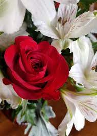 A gorgeous flower arrangement is a sweet way to let someone know surprise your galentine with an arrangement of pink. What Are The Best Flowers To Give On Valentine S Day Rural Mom