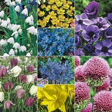 Though many butterflies will drink nectar from a variety of flowering plants, their caterpillars are often limited as to which plants they can feed on. Bee And Butterfly Garden Collection Buy At Michigan Bulb