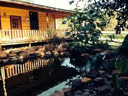 East Texas Rustic Barn Wedding Venue Outdoor Koi Pond Willow Creek Ranch Barn Wedding Venue Rustic Barn Wedding Wedding Venues Texas
